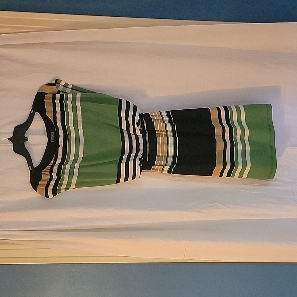 Women's Enfocus Studio green stripe size 8 dress